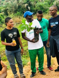 Tree planting exercise